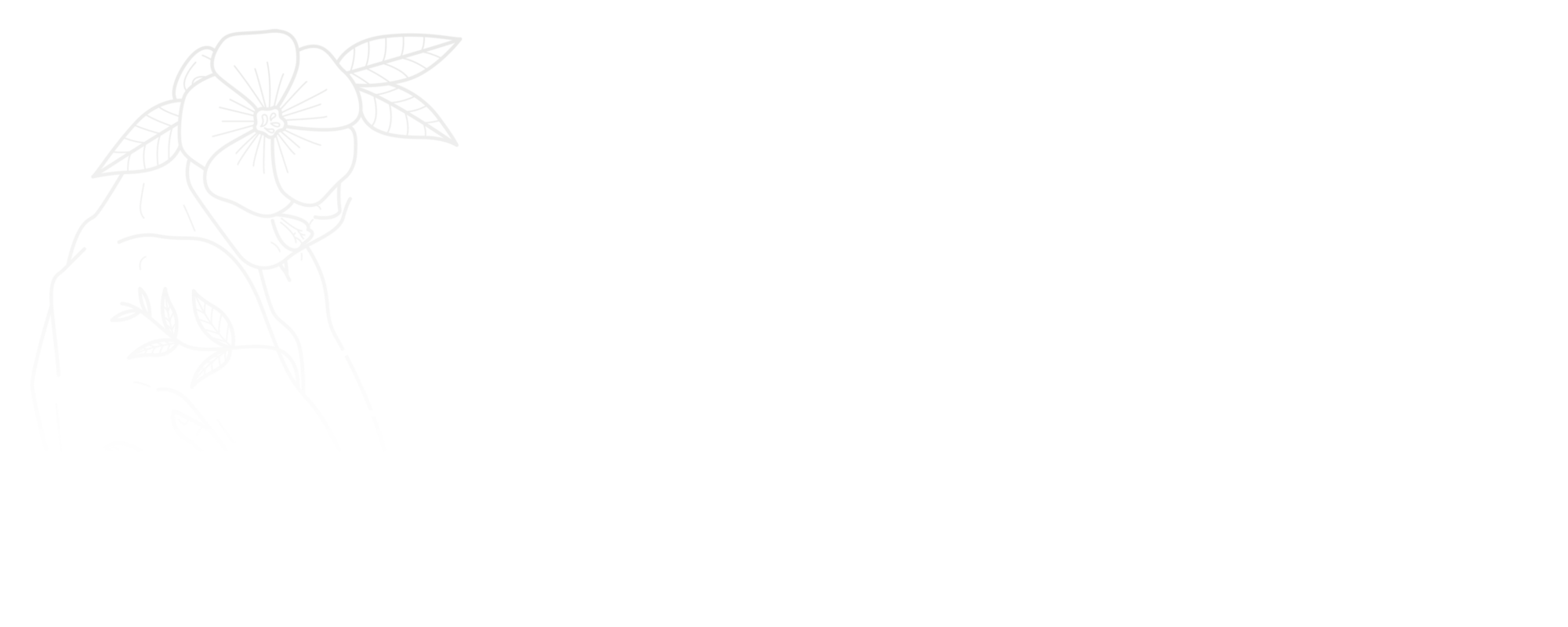 Vancouver Permanent Makeup & Paramedical Tattoos | Belle Ame Ink